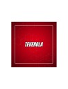 Teverola, Via Consortile ASI Vega Building 7